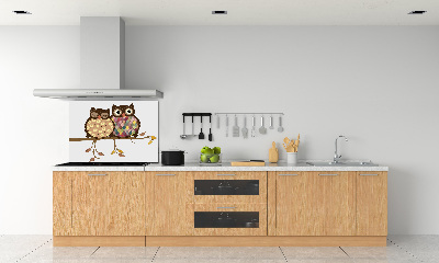 Panel lacobel Dwie sowy na gałęzi