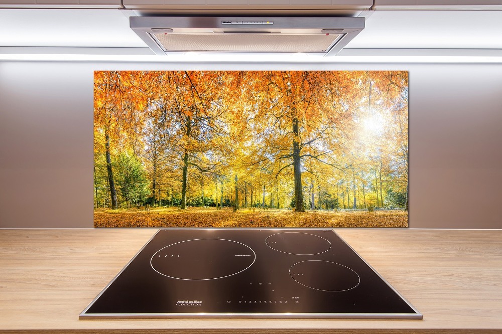 Panel dekor szkło Las jesienią