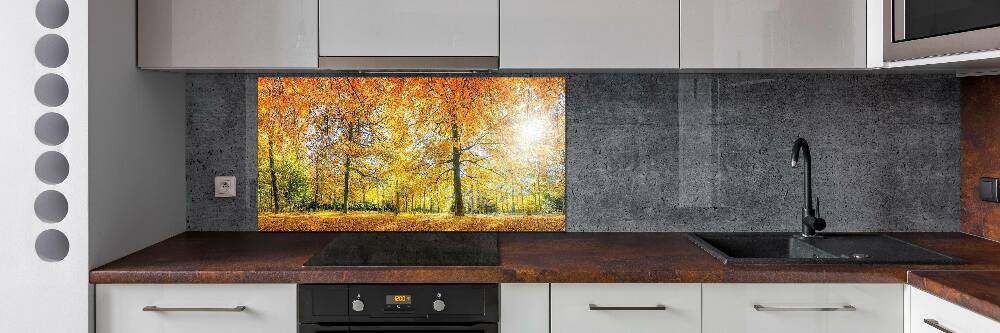 Panel dekor szkło Las jesienią