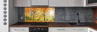 Panel dekor szkło Las jesienią