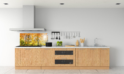 Panel dekor szkło Las jesienią
