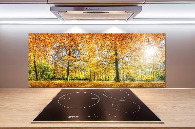 Panel dekor szkło Las jesienią