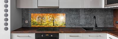 Panel dekor szkło Las jesienią