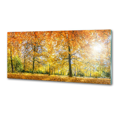 Panel dekor szkło Las jesienią
