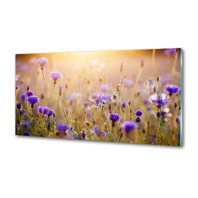 Panel dekor szkło Polne kwiaty