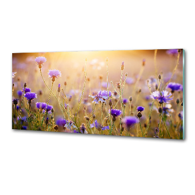 Panel dekor szkło Polne kwiaty