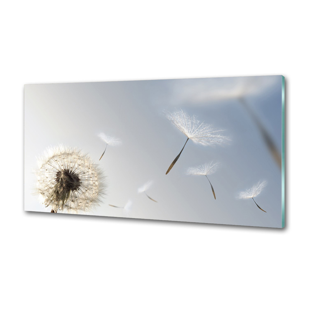 Panel dekor szkło Dmuchawiec