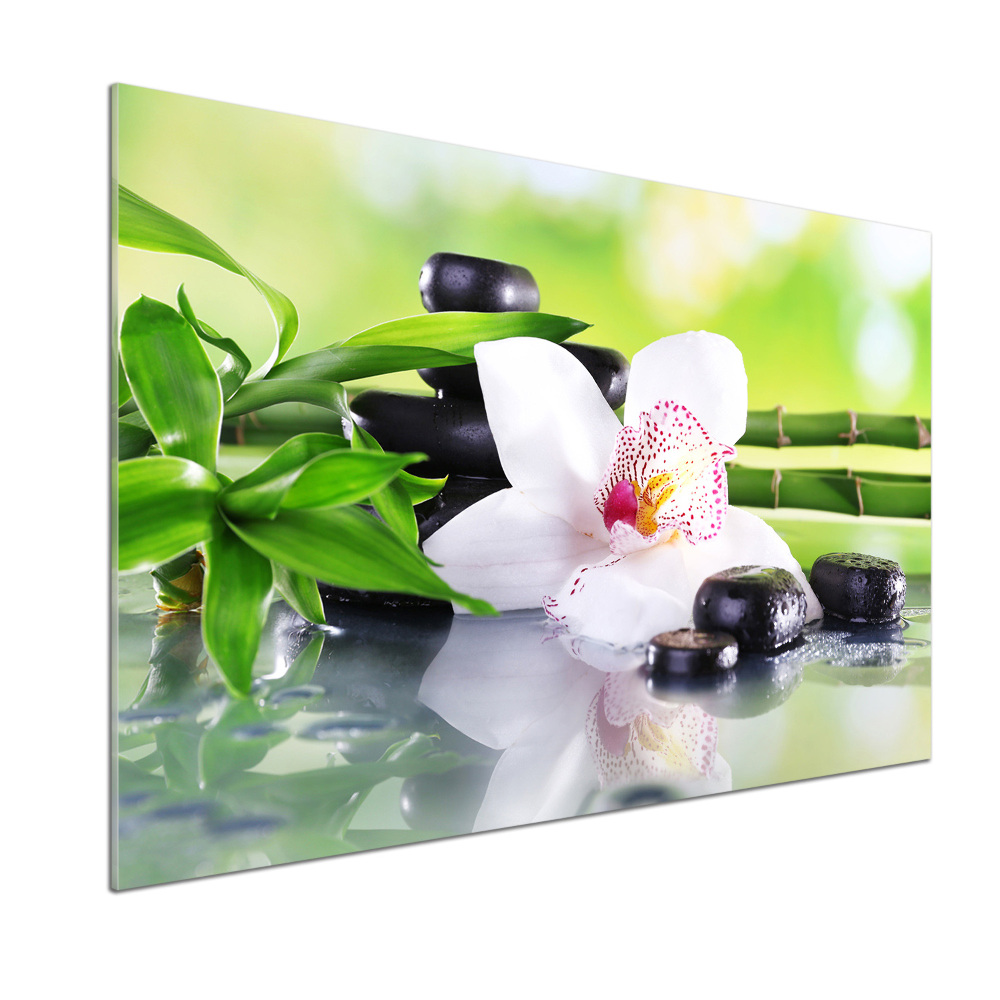 Panel między meble w kuchni Orchidea
