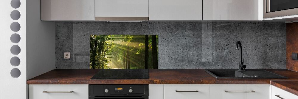 Panel dekor szkło Las w słońcu