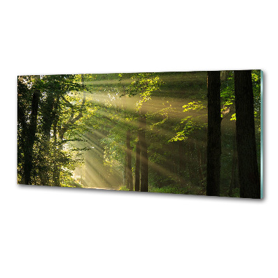 Panel dekor szkło Las w słońcu