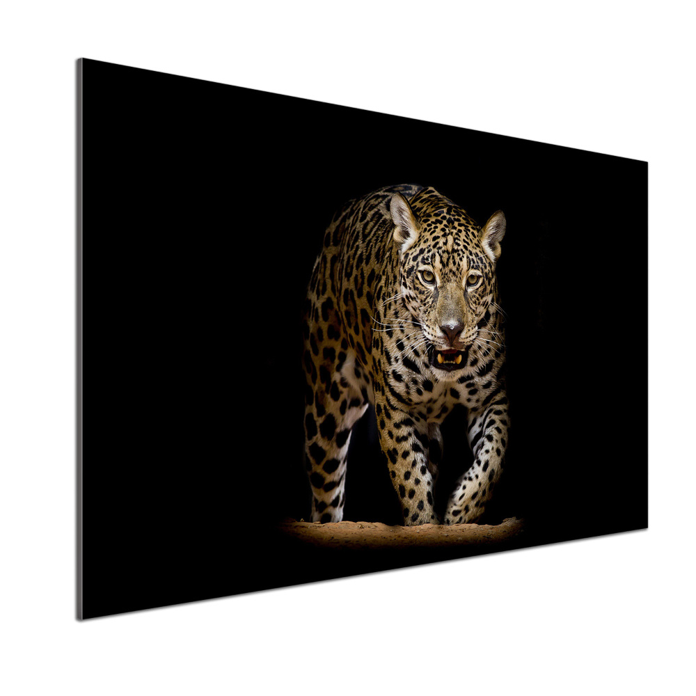 Panel szklany do kuchni Jaguar