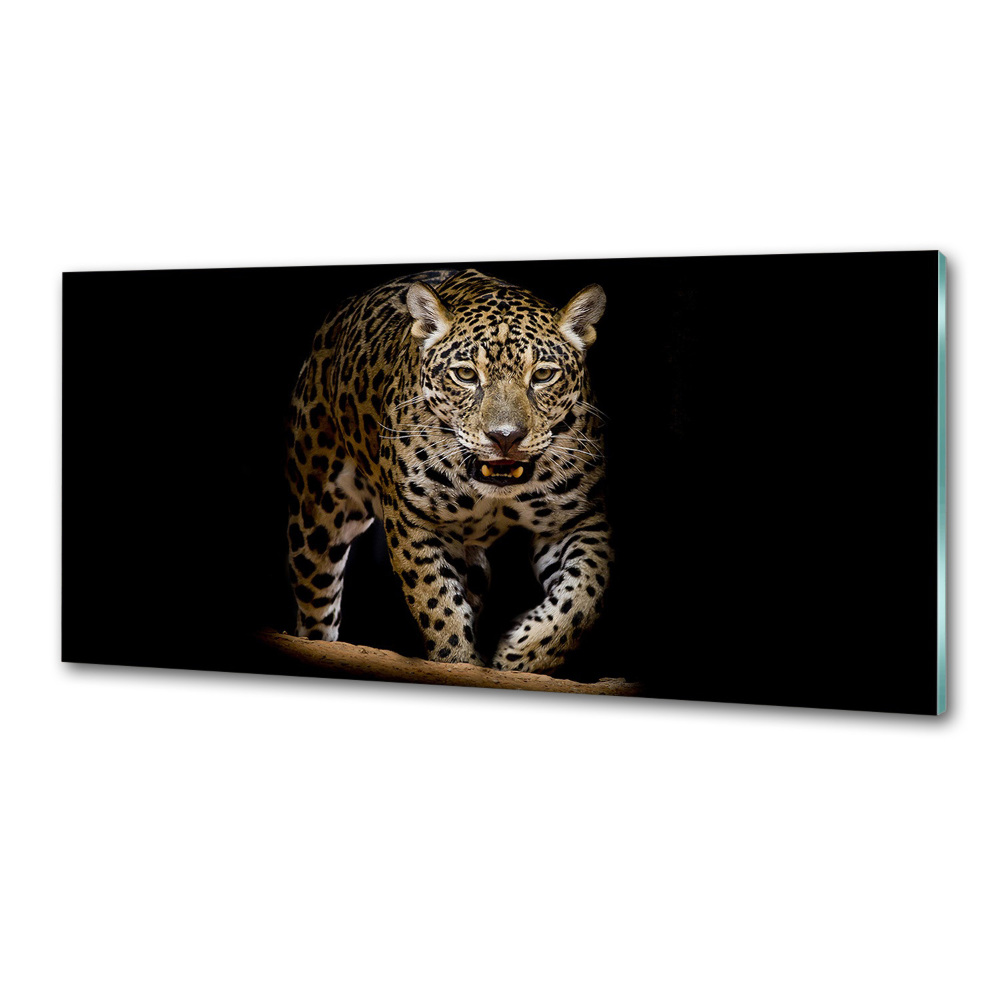 Panel szklany do kuchni Jaguar