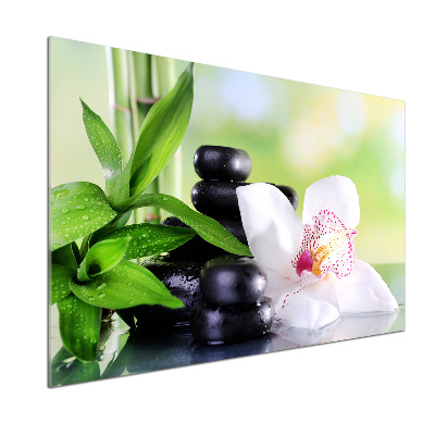 Panel między meble w kuchni Orchidea