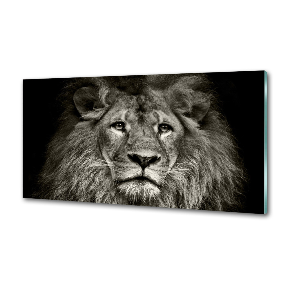 Panel szkło hartowane do kuchni Lew