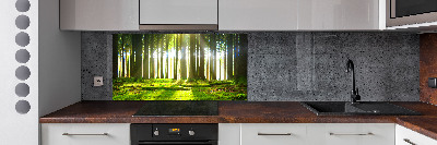 Panel dekor szkło Las w słońcu