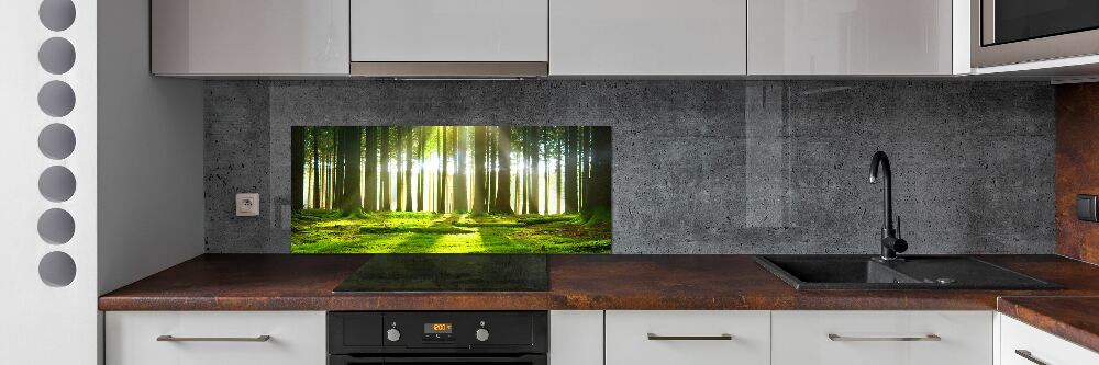 Panel dekor szkło Las w słońcu