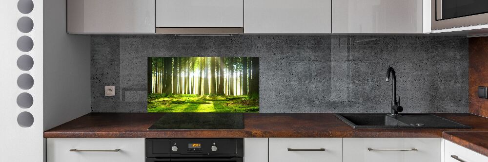 Panel dekor szkło Las w słońcu