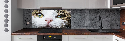 Panel do kuchni Zielone kocie oczy