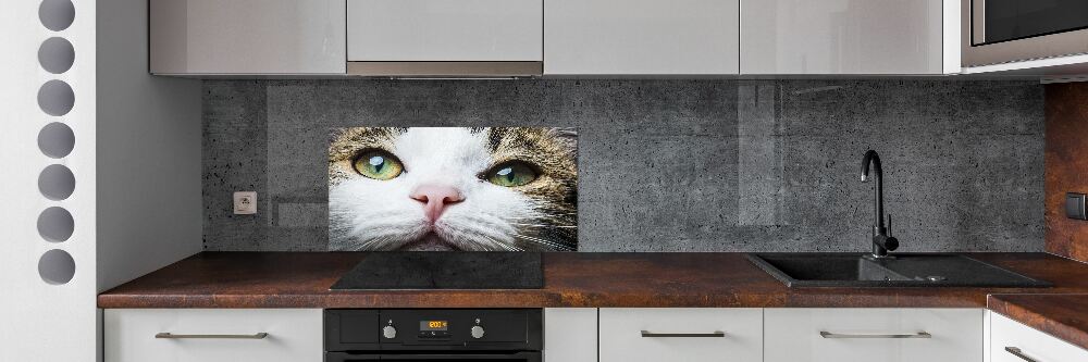 Panel do kuchni Zielone kocie oczy