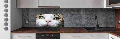 Panel do kuchni Zielone kocie oczy