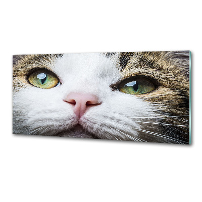 Panel do kuchni Zielone kocie oczy