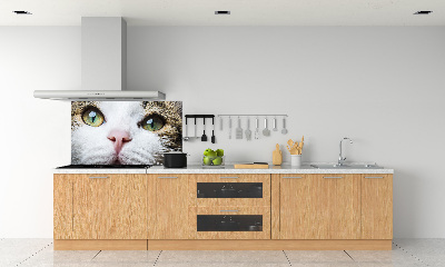 Panel do kuchni Zielone kocie oczy