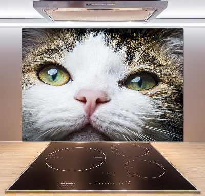 Panel do kuchni Zielone kocie oczy