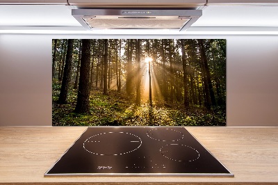 Panel do kuchni Światło słoneczne