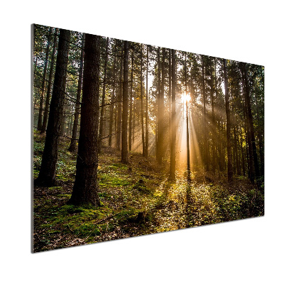 Panel do kuchni Światło słoneczne