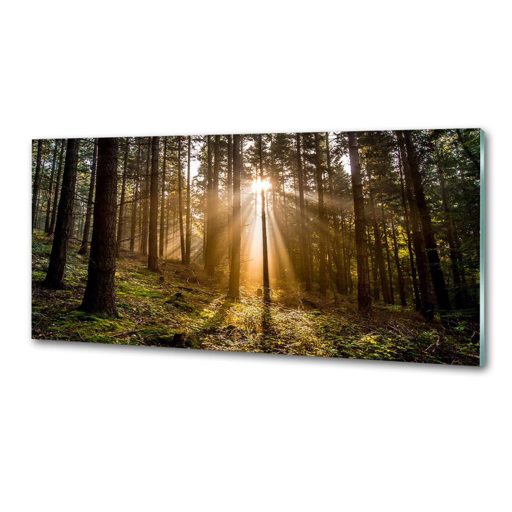 Panel do kuchni Światło słoneczne