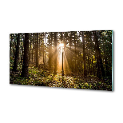 Panel do kuchni Światło słoneczne