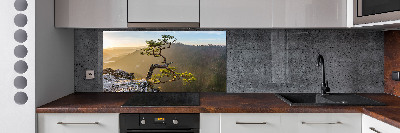 Panel do kuchni Sokolica Pieniny