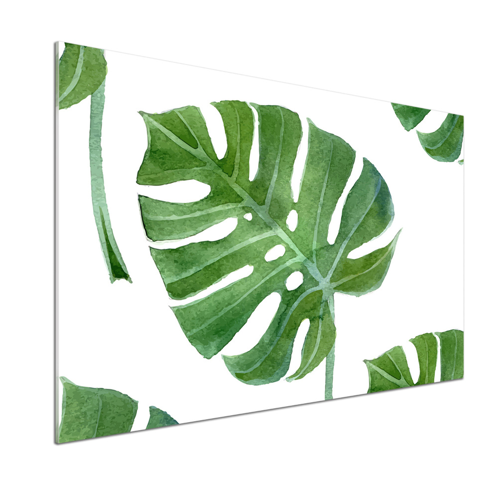 Panel między meble w kuchni Monstera