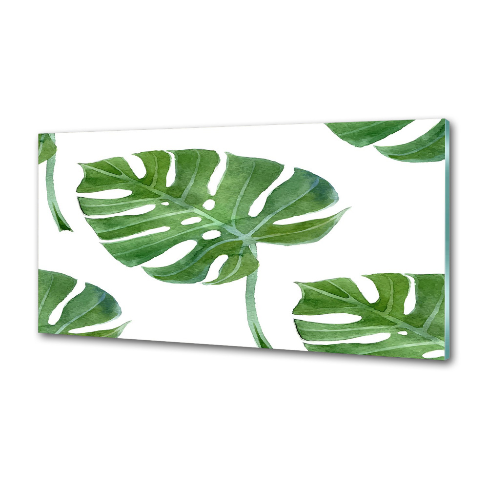 Panel między meble w kuchni Monstera