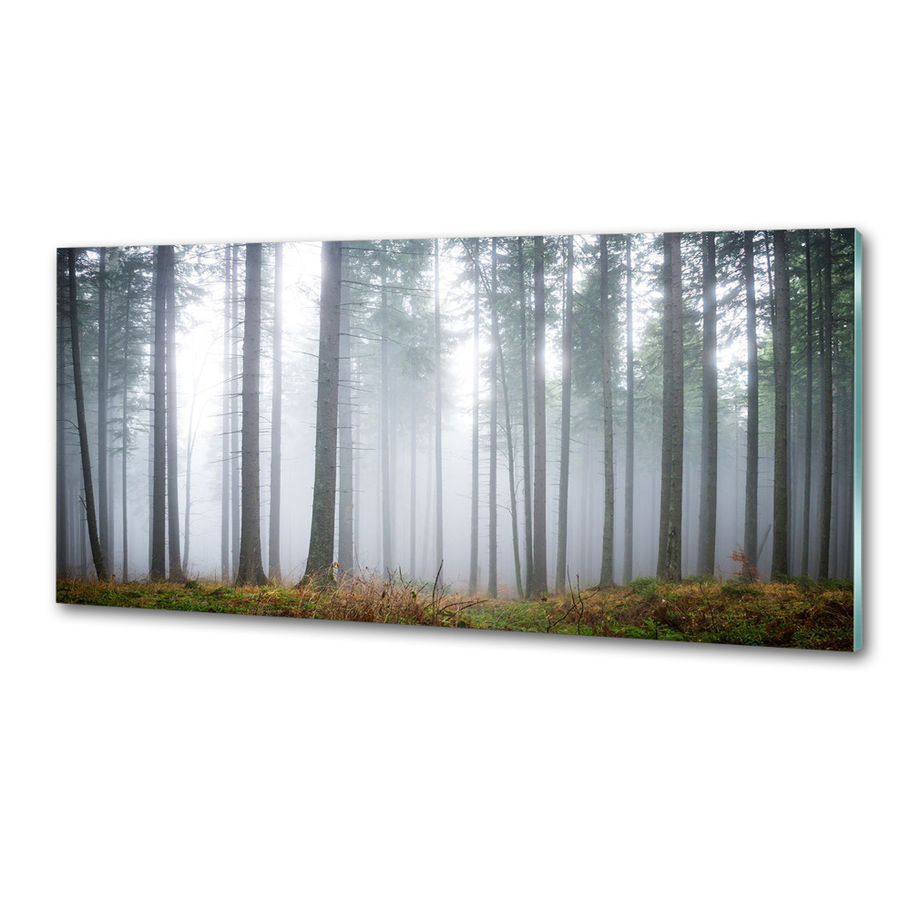 Panel dekor szkło Mgła w lesie