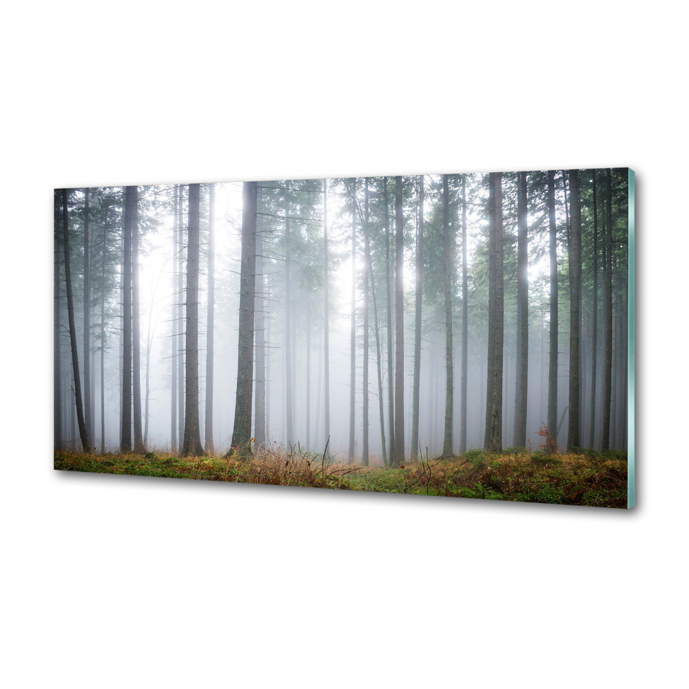 Panel dekor szkło Mgła w lesie