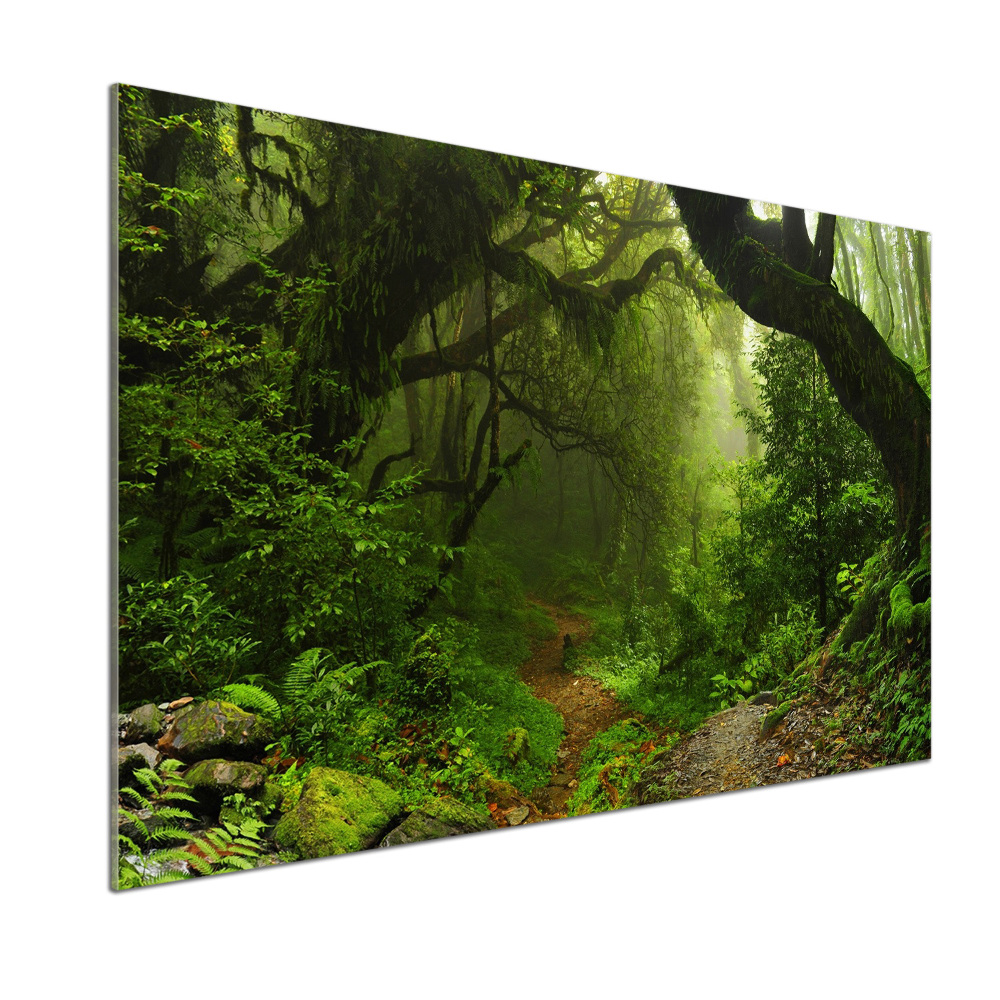 Panel do kuchni Dżungla w Nepalu