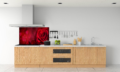 Panel lacobel Czerwona róża serca