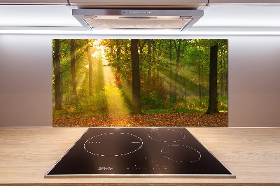 Panel dekor szkło Las w słońcu