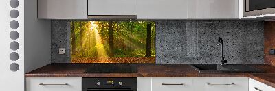 Panel dekor szkło Las w słońcu