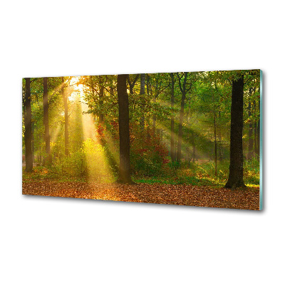 Panel dekor szkło Las w słońcu
