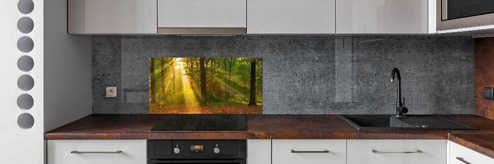 Panel dekor szkło Las w słońcu