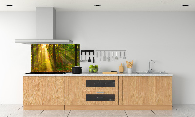 Panel dekor szkło Las w słońcu