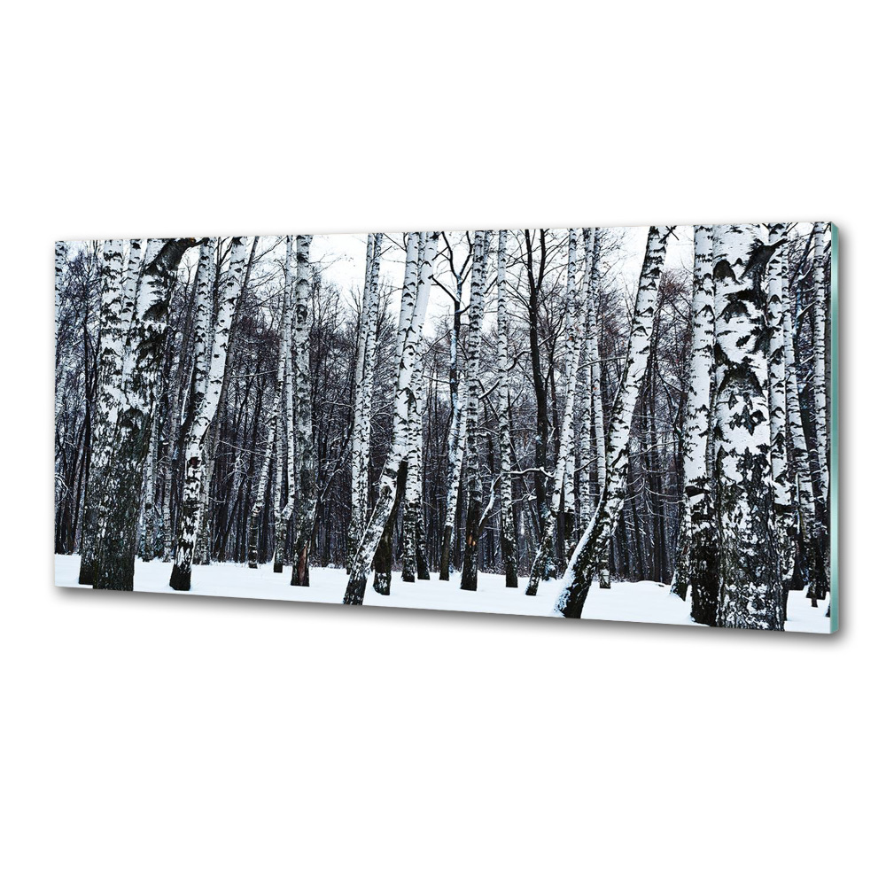 Panel dekor szkło Brzozy zimą