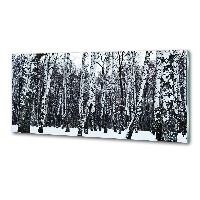 Panel dekor szkło Brzozy zimą