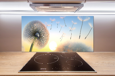 Panel dekor szkło Dmuchawiec