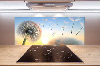 Panel dekor szkło Dmuchawiec