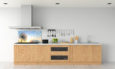 Panel dekor szkło Dmuchawiec