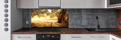 Panel do kuchni Drzewo oliwne