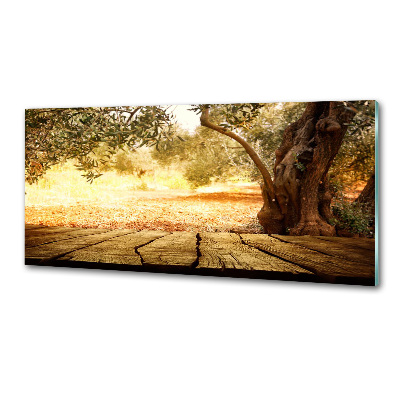 Panel do kuchni Drzewo oliwne